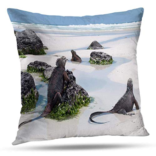 Babydo Throw Pillow Covers Santa Marine Beach Isla De Santa Salvaje con Vida Salvaje Apartamento De Vacaciones De Doble Cara Duradero Patrón De Vacaciones Sofá 45X45Cm Decorativo Acogedo