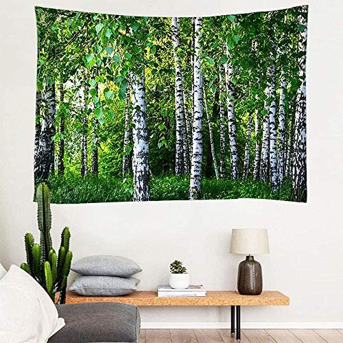 LUBINSKI Tapiz de álamo Árboles forestales Montaña Colgante de Pared Psicodélico Paisaje Natural Tapiz Dormitorio Sala de Estar Decoración del hogar Fibra de poliéster 59 X78.7 Pulgadas