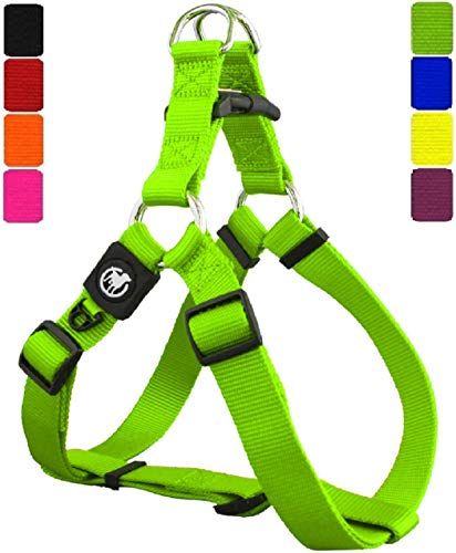 DDOXX Arnés Perro Step-In Nylon, Ajustable | Diferentes Colores & Tamaños | para Perros Pequeño, Mediano y Grande | Accesorios Gato Cachorro | Verde, S