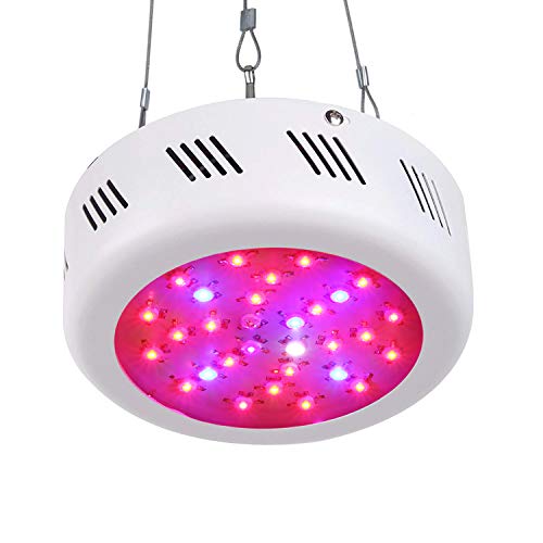 Roleadro LED Cultivo Interior 300W UFO Luces Led Grow Lampara Led Cultivo para Plantas Floración Cultivo Interior Con luz UV UV y luz blanca 10000K