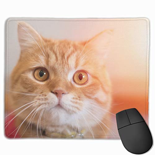 Gato atigrado amarillo con grandes ojos Gaming Computer Mouse Pad