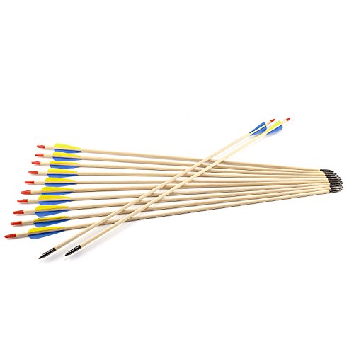 Hamimelon 12 Flechas de Madera para Tiro con Arco Recurvo Longbow para Práctica Puntería de Tiro Punta de Acero Asta de Madera, Hecho de Mano (79cm Largo)