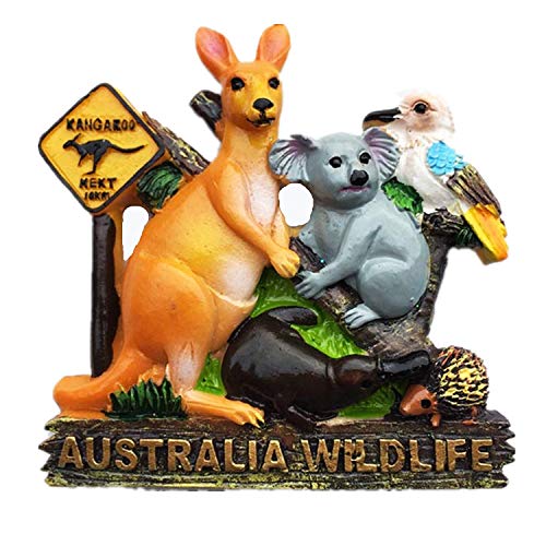 MUYU Magnet Imán para Nevera con diseño de Animales de Australia, decoración para el hogar y la Cocina, Adhesivo magnético. Imán para Nevera de Australia, Regalo de Recuerdo turístico