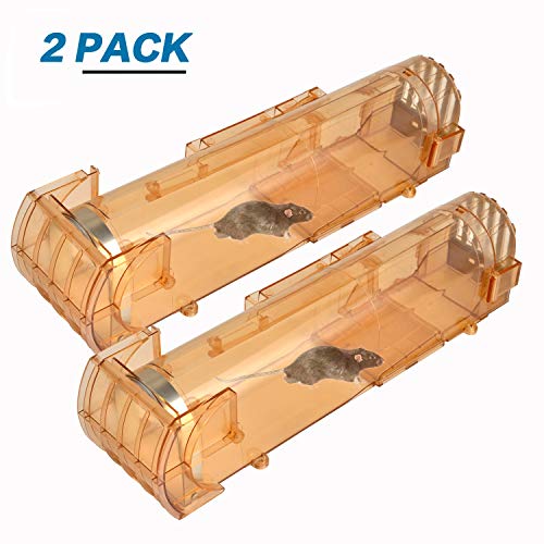 Viccioo 2Pcs Trampa para Ratas Plástico Translúcido，Trampa para Ratones Vivos，Reutilizable y Fácil de Limpiar，Potente Trampa para Ratas para Cocina Jardín Hogar Oficinas Ático Garaje，No Matar