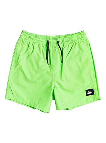 Quiksilver Everyday 13" - Short De Natación para Chicos 8-16 Jam/Volley, Niños, Green Gecko, XL/16