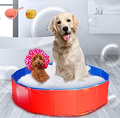 Verano Extra Grande plegable for mascotas piscina perro, plato de ducha de Niños, Gato Perro tinas de baño, mascotas Piscina gato tina de baño, apto for Golden Retriever peluche Corgi, con una cuchara