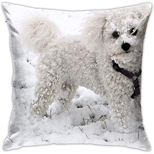 N/A Funda de Almohada Animal, Perro, Nieve, Invierno, Blanco, Bichon Frise Precioso Decorativo 18 X 18 Pulgadas