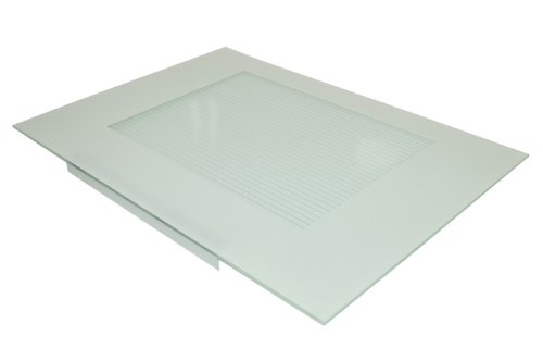 Bosch 206581 - Cristal para puerta de horno