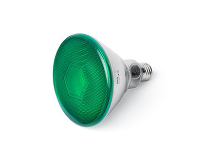 FARO BARCELONA 17399 - Bombilla Par38 LED, 10W, Metal, policarbonato y Cristal, Color Verde (Bombilla incluida)