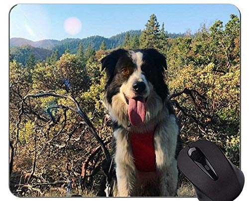 Yanteng Imprimir con Alfombrilla de ratón de Pastor alemán, Alfombrilla de ratón Border Collie con Borde Cosido