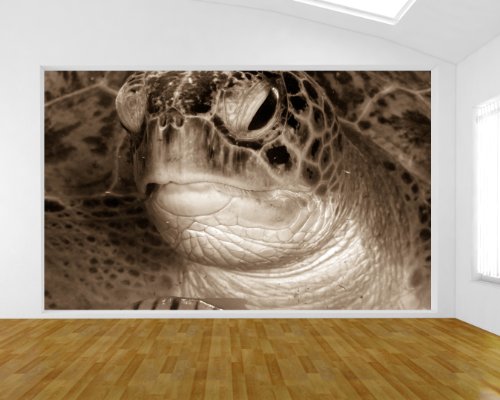 Bilderdepot24 Fotomural Tortuga en el Mar Rojo - sephia 420x270 cm - Papel Tejido-no Tejido. Fotomurales - Papel Pintado - la fabricación Made in Germany!