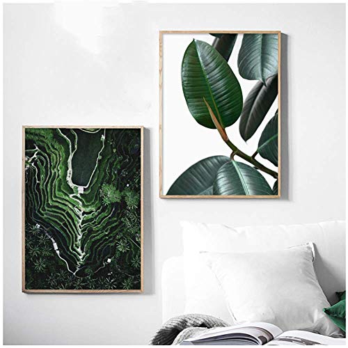 RuiChuangKeJi Cuadros de la Pared 2x40x60cm sin Marco Árbol de Goma Hoja Verde Adosado Arte de la Pared Carteles e Impresiones nórdicos Cuadros de la Pared para la decoración de la Sala de Estar