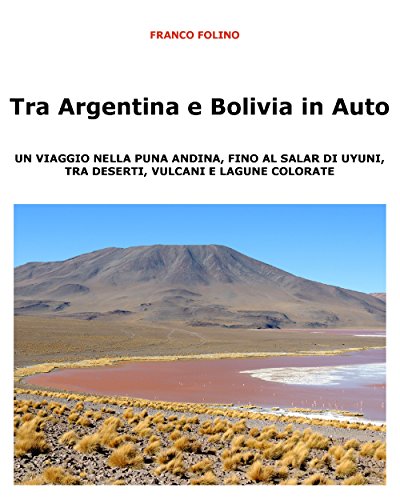 Tra Argentina e Bolivia in Auto  Un viaggio nella Puna andina, fino al salar di Uyuni, tra deserti, vulcani  e lagune colorate (Italian Edition)