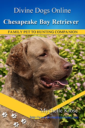 Chesapeake Bay Retriever (Divine Dogs Online Book 29) (English Edition)