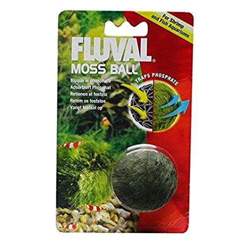 Fluval Bola de Musgo