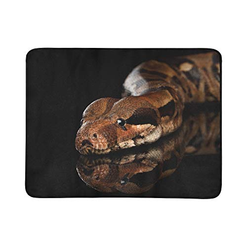 JEOLVP Cabeza de Primer Plano Boa de la Serpiente Constrictor Aislado Portátil y Plegable Estera de Manta 60x78 Pulgadas Práctica Estera para Acampar Picnic Playa Interior Viaje al Aire Libre