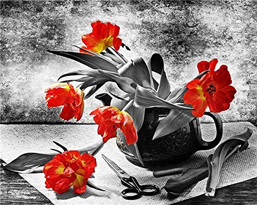 LIXIESHA Pintura por números para Adultos Niños Blanco y Negro Amapolas Rojas DIY Pintura Digital por números Kits sobre Lienzo Es-No Frame-40x50cm