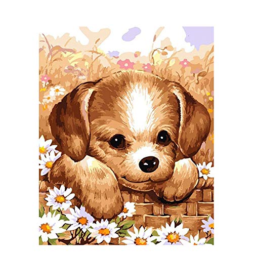 SKYZAHX DIY Pintura al óleo Las pequeñas Mascotas Quieren Quieren Números para Adultos, Pintar por Numeros Kits sobre LienzoDIY Pintura al óleo parapintura acrílica para el hogar 40 x240cm Sin Marco