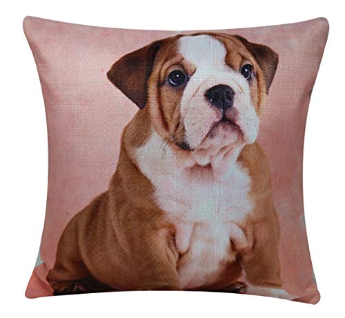 Bulldog Inglés Olde Cuadrado Animal Print 17 x 17 Funda de cojín, Funda de Almohada para sofá Cama Sofá