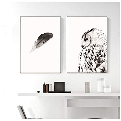 HSFFBHFBH Pintura sobre Lienzo Carteles e Impresiones de Plumas en Blanco y Negro Arte de la Pared Cuadros de la Pared para la Sala Decoración nórdica del búho 50x70cm (19.7"x27.6) Sin Marco