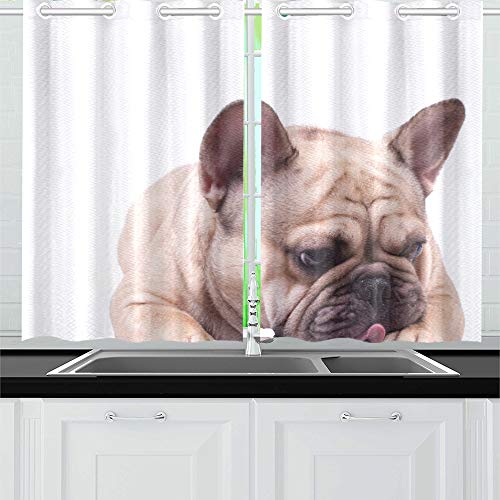 JOCHUAN Adorable Fawn Brown Bulldog francés Acostado Cortinas de la Cocina Cortinas de la Ventana Niveles para café, baño, lavandería, Sala de Estar Dormitorio 26 X 39 Pulgadas 2 Piezas