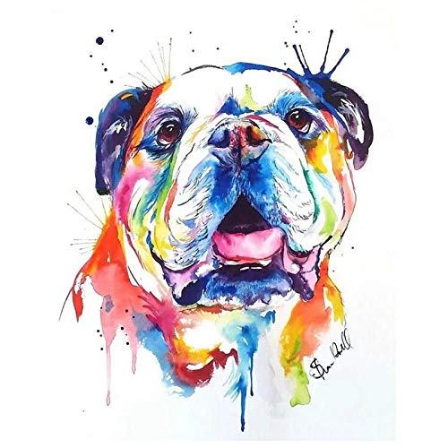 Msszsh Kit De Pintura De Diamantes 5D,Mosaico Completo Bordado Rompecabezas Patrón Taladro Coloridos Bulldogs Franceses Po De Diamantes De Imitación-30X40Cm/12X16 pulgadas