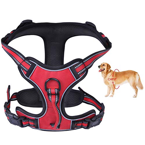 PETGDS Arnés del Perro Antitirones Básicos Adjustable de Nylon, 3M Reflectante para Las Actividades al Aire Libre, Perros Coche Adiesreamiento Bicicleda Correr Chaleco Acolchado Ajustable - Rojo(S)