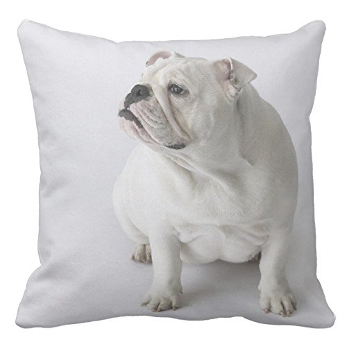 Poppy-Baby - Funda de cojín con diseño de bulldog inglés, color blanco, 45,7 x 45,7 cm, dos caras. Cojín decorativo con patrón animal