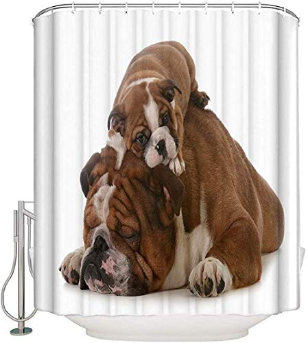 QAZX Cortinas de Ducha de Tela Cortinas de Ducha Impermeables para baño Cortinas de baño con 12 Ganchos - Lindo Bulldog francés Padre e hijo180x180cm