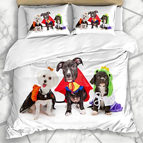 Conjuntos de fundas nórdicas Happy Orange Tres lindos cachorritos Perros vestidos de fiesta nacionales Disfraz de juguete para mascotas Diversión Ropa de cama de microfibra King Size con 2 fundas de a