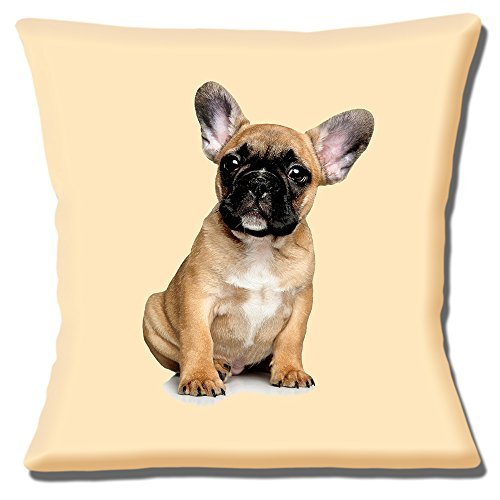 Cute French Bulldog Puppy Photo Fawn negro Color blanco – 16 "(40 cm) almohada cojín