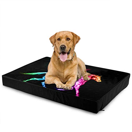 Dog Mattress Pad Raster Version Fire Pegasus Spectrum Colors Large Dog Beds Foam Dog Bed Waterproof 76 X 51 X8cm with Zipper Removable Cover For Dogs & Cats