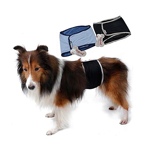 Gran perro masculino grande Sanitaria perro de mascota fisiológicos pantalones cortos bragas higiénicas Golden retriever Pantalones for mascotas ropa interior del pañal ( Color : Black , Size : L )