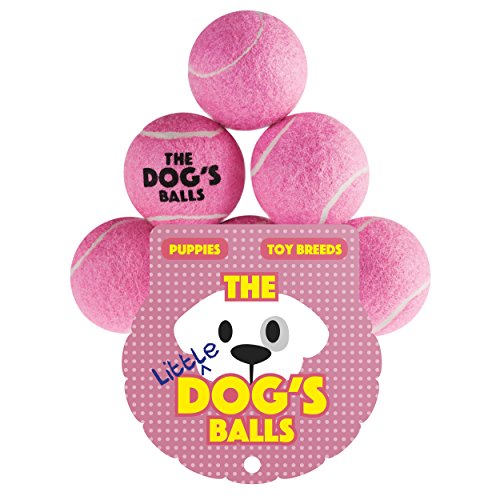 Pelotas de tenis para perros, cachorros, perros pequeños o gatos de The Dog's Balls The Little Dog. Para ejercicio, juego, entrenamiento y fetch. Too - Pequeño para lanzadores de chuckes, el rey Kong de pelotas de perro