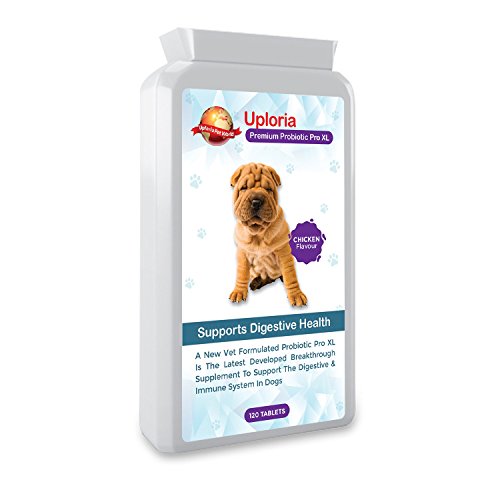 Uploria Pet World Suplemento Probiótico para Estómagos Sensibles De Perros | 120 Comprimidos con Sabor A Pollo | Es También Un Suplemento para El Sistema Inmunológico