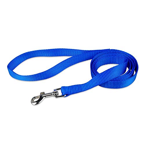 XYBB Correa Perro Nylon Lleva Cachorro para Chihuahua Bulldog Francés L Azul