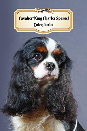 2020 Cavalier King Charles Spaniel Calendario: 107 Páginas | Tamaño A5 | Planificador Semanal | 12 Meses | 1 Semana en 2 Páginas | Agenda Semana Vista | Tapa Blanda | Perro