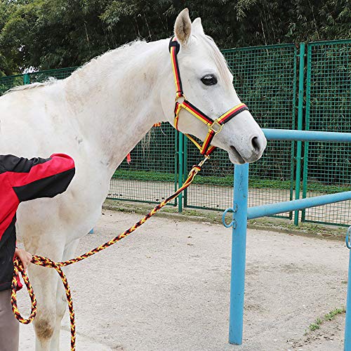 Brida de Caballo,Brida para Caballos,Longitud Ajustable,Diseño de Grosor,Protección de Shinbe,Antideslizante y Resistencia a La Abrasión,Equitación,Presentación de Arte,A-S