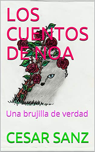 LOS CUENTOS DE NOA: Una brujilla de verdad