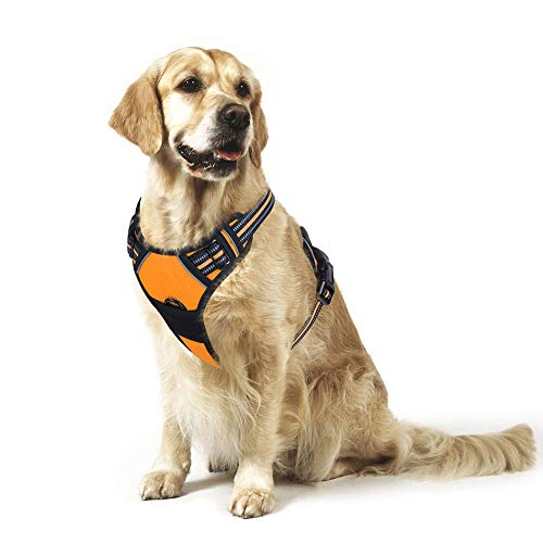 rabbitgoo Arnes Antitirones Perro Ajustable con Lineas Reflectantes Arnés Coche Perro Coche Adiesreamiento Arnes Perro Chaleco Transpirable con Asa Seguridad Easy Walk Extra Grande Naranja