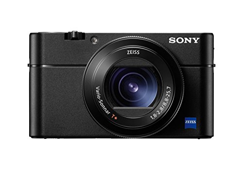 Sony DSCRX100M5A - Cámara Compacta, 20.1 MP, AF Híbrido de 0.05 s, 24 fps, Vídeo 4 K, Sensor CMO, Cámara Superlenta con 960 fps, Lente Zeiss, Color Negro