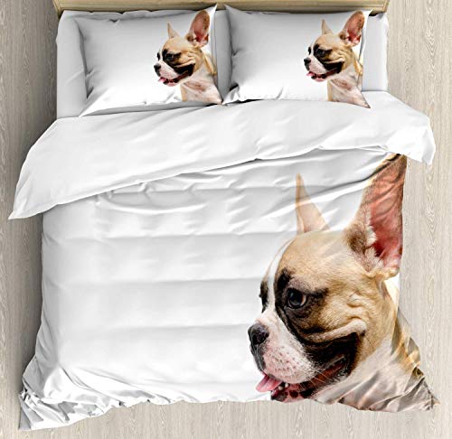 XOXUN Juego de Funda nórdica Bulldog, Vista Lateral de un Bulldog francés con la Lengua afuera sobre un Fondo Liso, Juego de Cama Decorativo de 3 Piezas con 2 Fundas de Almohada, Blanco y Multicolor