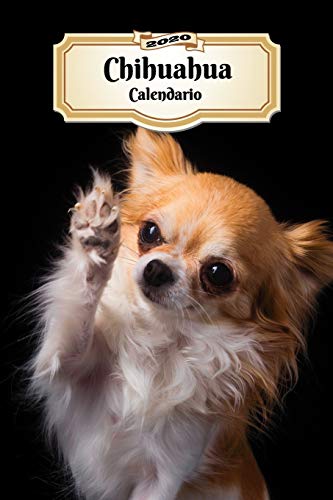 2020 Chihuahua Calendario: 107 Páginas | Tamaño A5 | Planificador Semanal | 12 Meses | 1 Semana en 2 Páginas | Agenda Semana Vista | Tapa Blanda | Perro