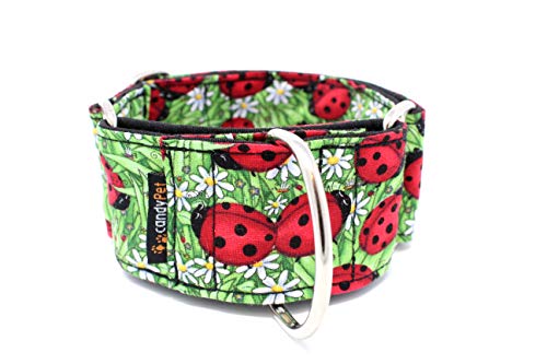 candyPet Collar Martingale para Perros - Modelo Mariquitas (S: Ancho 4 cm (30-40 cm diámetro))