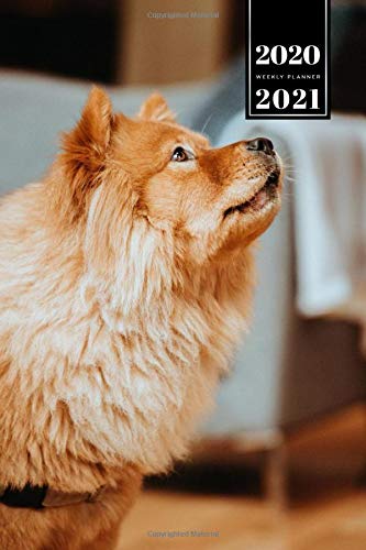 Chow Chow Dog Pup Puppy Doggie Week Planner Weekly Organizer 2020 / 2021 - Upward View: Animal Lover Pet Owner Gift Idea - Schedule Notebook Journal in 6" x 9" Inch