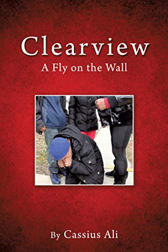 Clearview: A Fly on the Wall (English Edition)