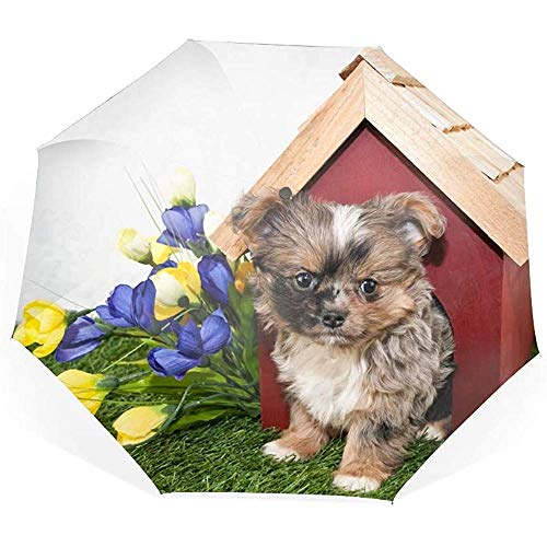 Cute Yorkie Puppy Compact Travel Umbrella Paraguas a Prueba de Viento Anti-UV Golf Sombrillas