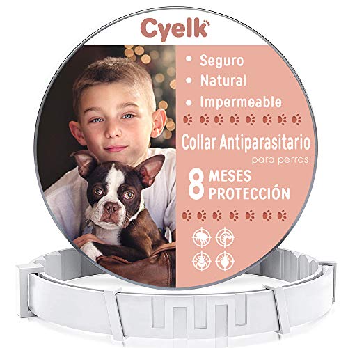 Cyelk Collar Antiparasitos Perro, contra Garrapatas y Pulgas, Collar Antipulgas Perro Natural Hipoalergénicos para Mascota Pequeño Mediano Grande