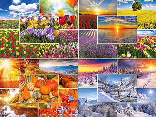 Edition Colibri - Juego de 20 tarjetas postales de naturaleza «Las cuatro estaciones» (20 diseños diferentes) con primavera, verano, otoño e invierno
