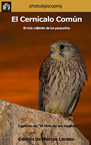 El Cernícalo Común: El más valiente de los pequeños. (El libro de las rapaces nº 3)